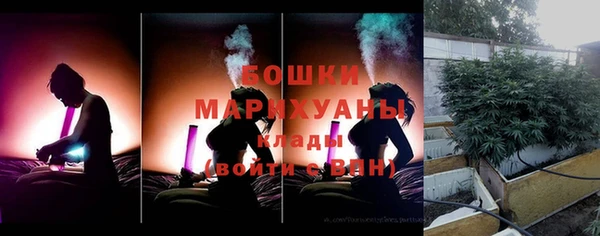 сатива Арсеньев