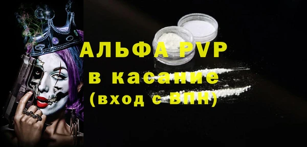 сатива Арсеньев