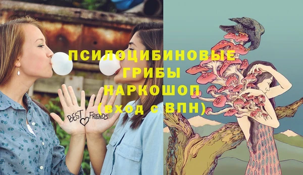 сатива Арсеньев
