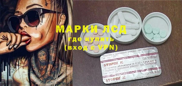сатива Арсеньев