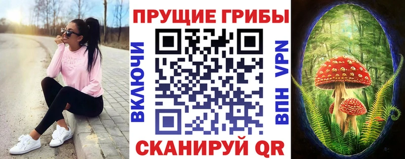 Галлюциногенные грибы мухоморы OMG как зайти Цивильск